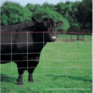 Agriculture Fence for Animal